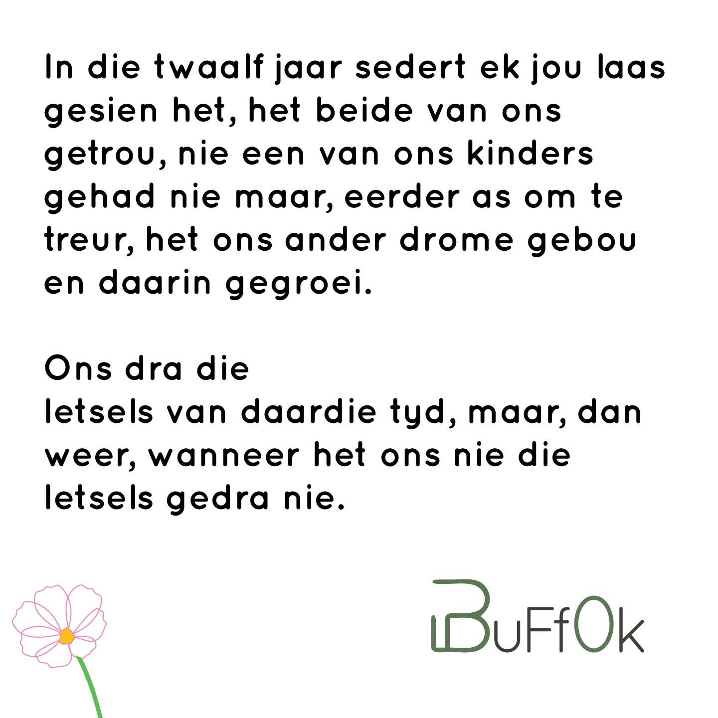 Twintig Jaar - Cover Image